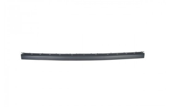 Trim/Protective Strip, bumper