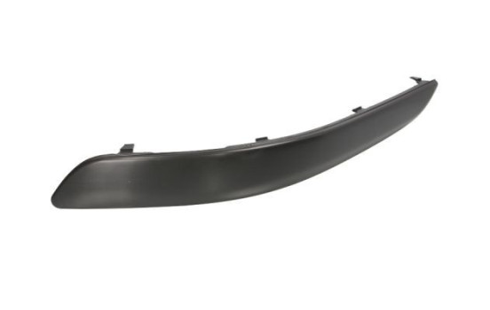 Trim/Protective Strip, bumper
