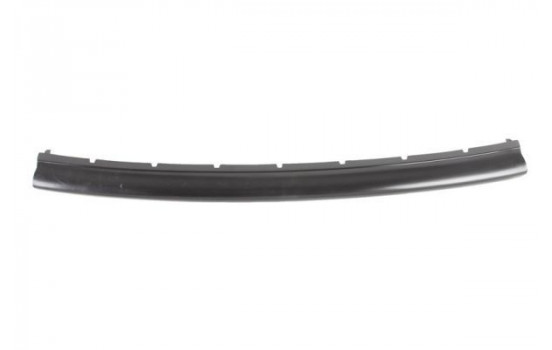 Trim/Protective Strip, bumper