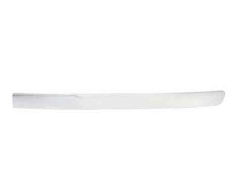 Trim/Protective Strip, bumper