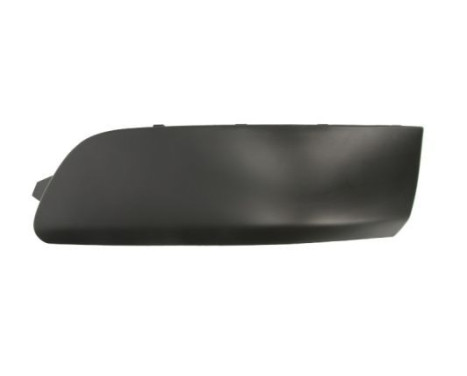 Trim/Protective Strip, bumper