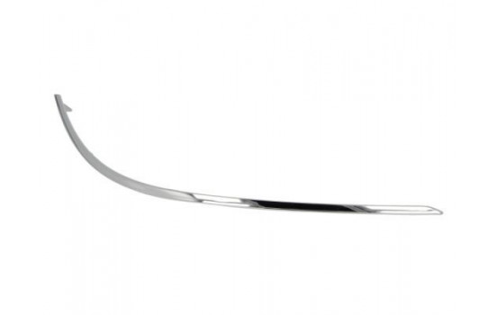 Trim/Protective Strip, bumper