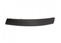 Trim/Protective Strip, bumper
