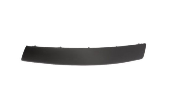 Trim/Protective Strip, bumper