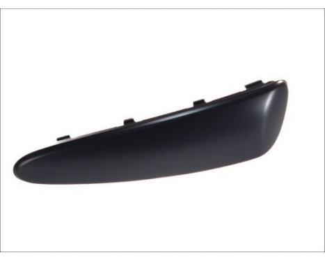 Trim/Protective Strip, bumper