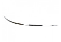 Trim/Protective Strip, bumper