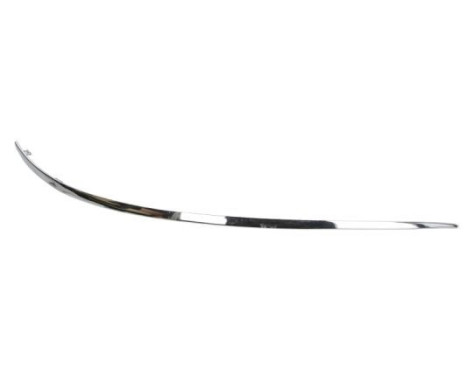 Trim/Protective Strip, bumper