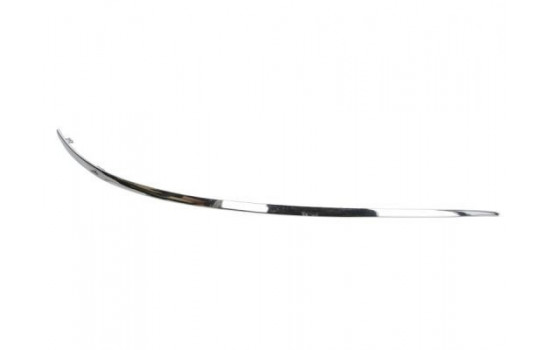 Trim/Protective Strip, bumper