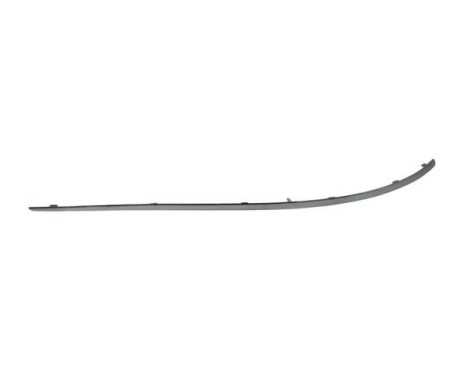 Trim/Protective Strip, bumper