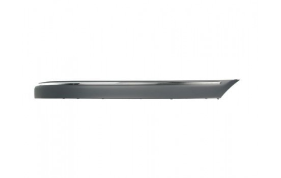 Trim/Protective Strip, bumper