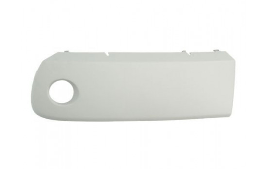 Trim/Protective Strip, bumper