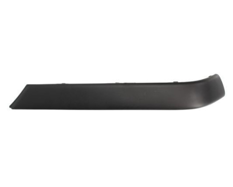 Trim/Protective Strip, bumper