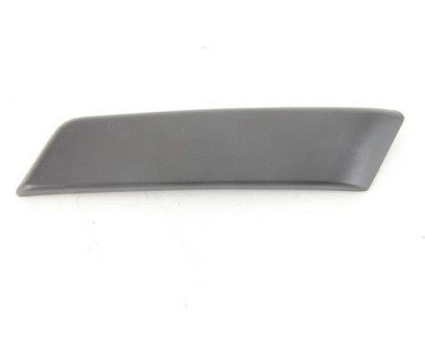 Trim/Protective Strip, bumper