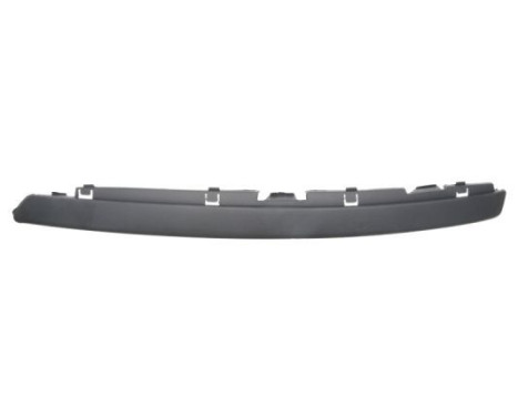 Trim/Protective Strip, bumper