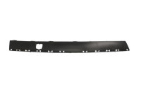 Trim/Protective Strip, bumper
