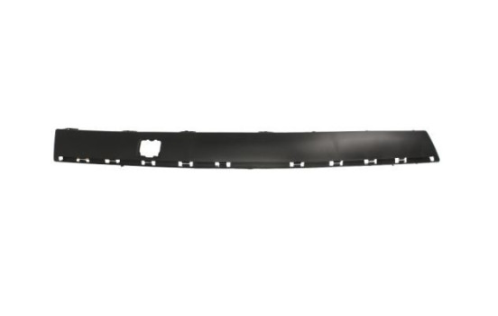 Trim/Protective Strip, bumper