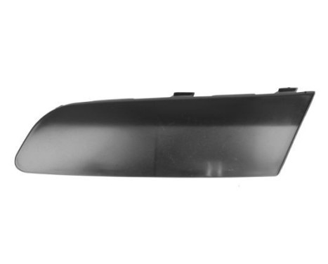 Trim/Protective Strip, bumper