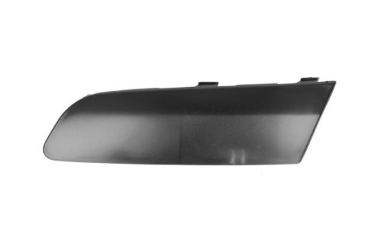 Trim/Protective Strip, bumper