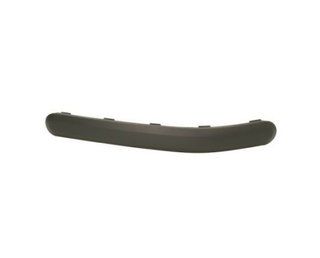 Trim/Protective Strip, bumper