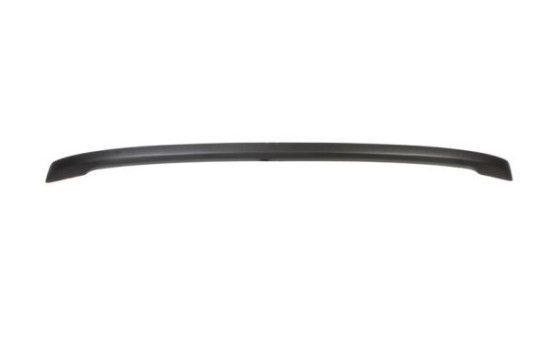 Trim/Protective Strip, bumper