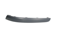 Trim/Protective Strip, bumper