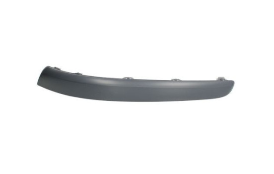 Trim/Protective Strip, bumper