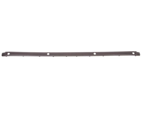 Trim/Protective Strip, bumper