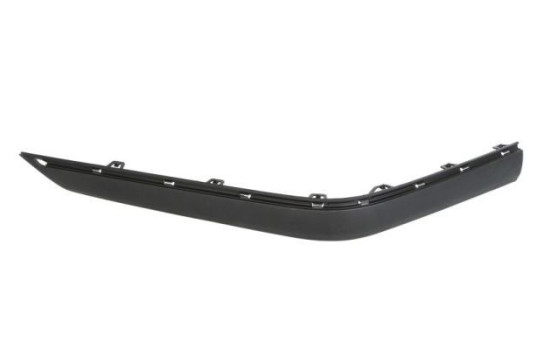 Trim/Protective Strip, bumper