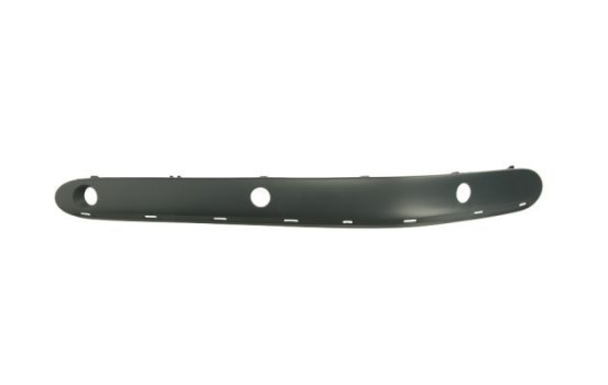 Trim/Protective Strip, bumper