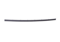 Trim/Protective Strip, bumper