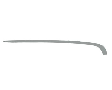 Trim/Protective Strip, bumper
