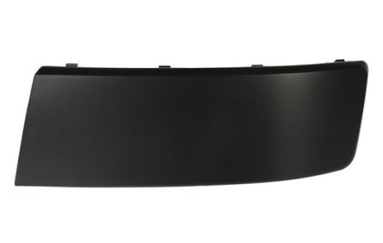 Trim/Protective Strip, bumper