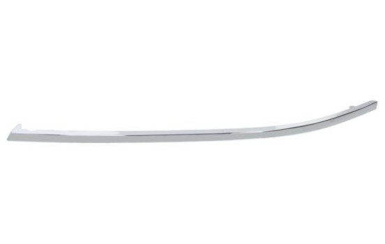 Trim/Protective Strip, bumper