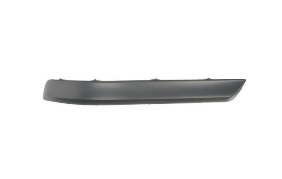 Trim/Protective Strip, bumper