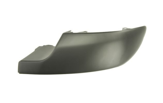 Trim/Protective Strip, bumper