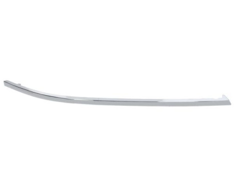 Trim/Protective Strip, bumper