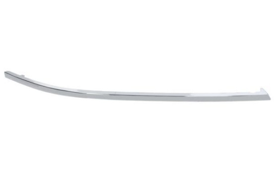 Trim/Protective Strip, bumper