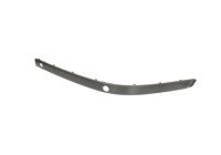 Trim/Protective Strip, bumper