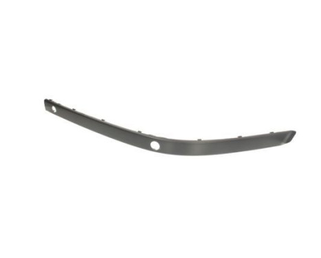 Trim/Protective Strip, bumper