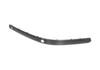 Trim/Protective Strip, bumper