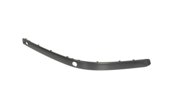 Trim/Protective Strip, bumper