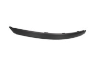 Trim/Protective Strip, bumper
