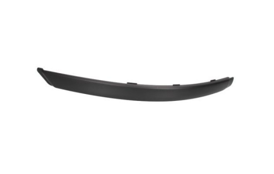 Trim/Protective Strip, bumper