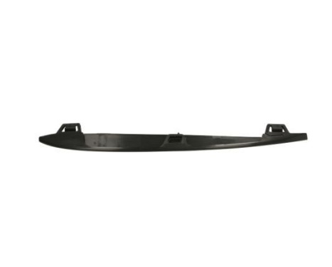 Trim/Protective Strip, bumper