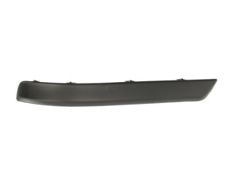 Trim/Protective Strip, bumper