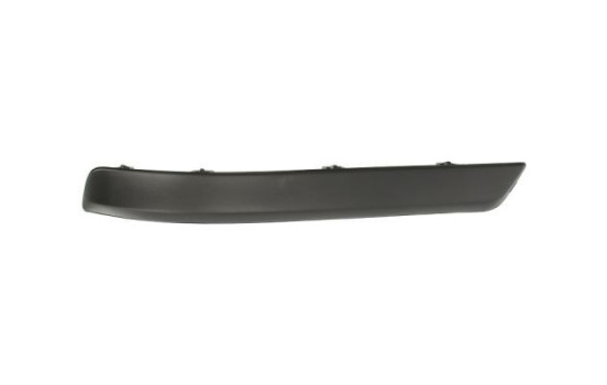 Trim/Protective Strip, bumper