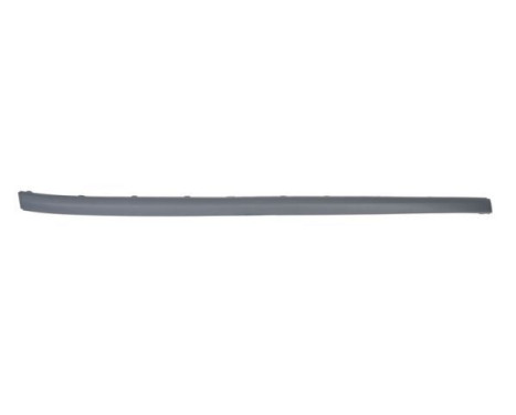 Trim/Protective Strip, bumper