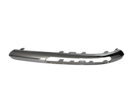 Trim/Protective Strip, bumper