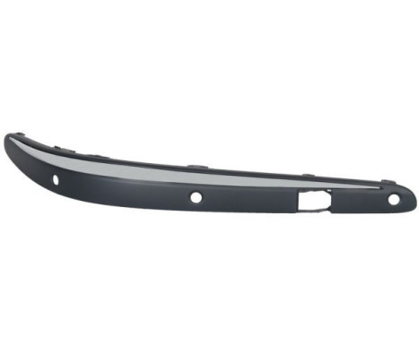 Trim/Protective Strip, bumper