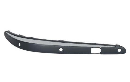 Trim/Protective Strip, bumper